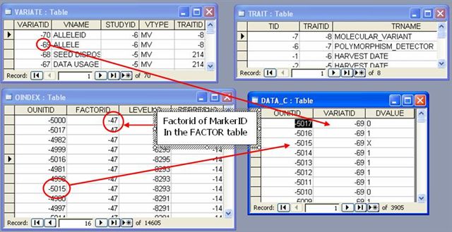 image:DArT_data_DMS_Variates.JPG