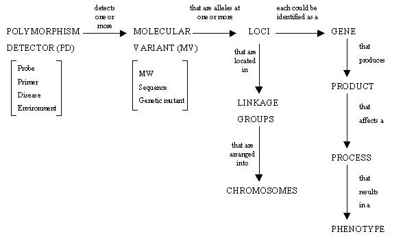Image:Icis18-1.jpg