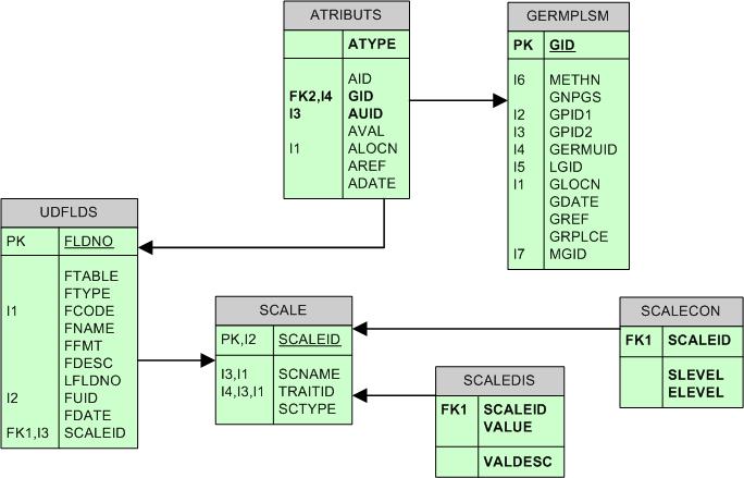 Image:GRIMS PASSPORT DATA ERD.jpg