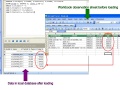 Thumbnail for version as of 06:55, 29 February 2008