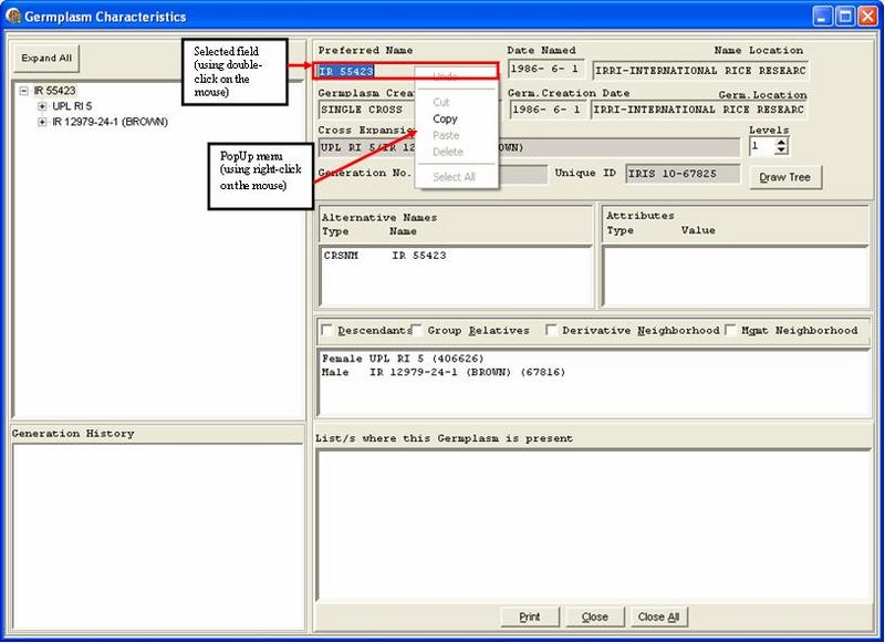 File:Gmssrch derivativeCopyInfo.jpg