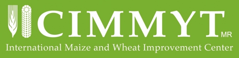 File:CIMMYT logo cropped.jpg