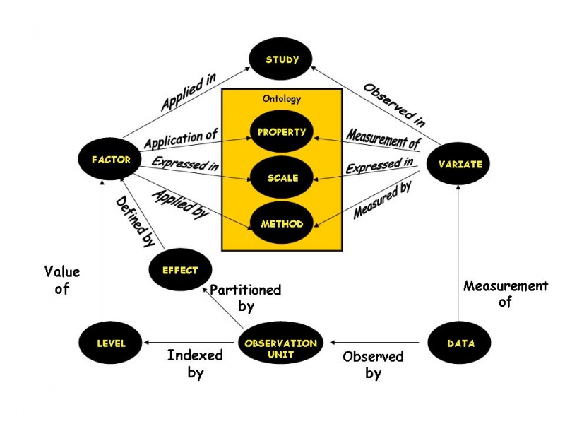 File:DMS Data Model.jpg