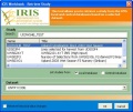 Thumbnail for version as of 05:15, 29 February 2008