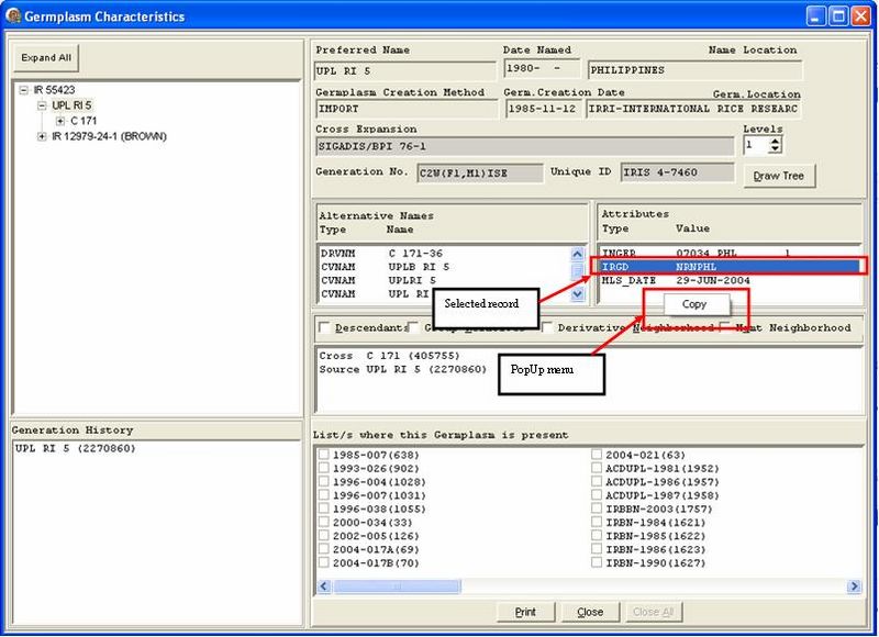 File:Gmssrch managementCopyAttributes.jpg