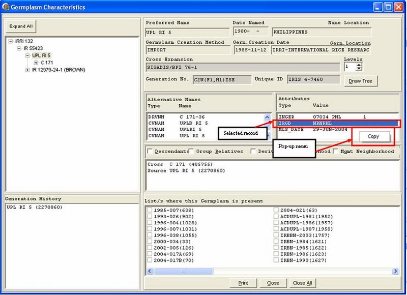 File:Gmssrch derivativeCopyAttributes.jpg