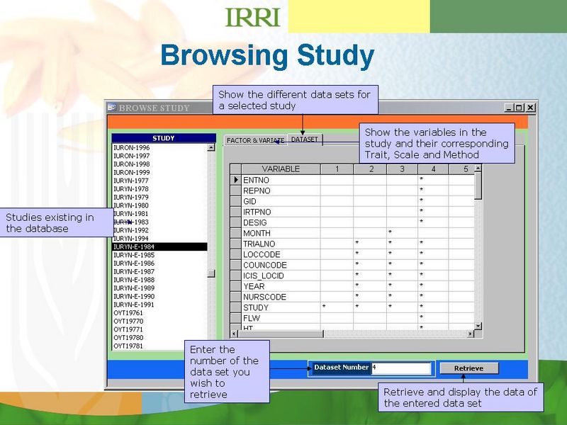 File:RTV BrowseStudy.JPG